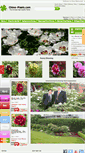 Mobile Screenshot of china-plants.com